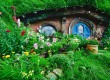 Head to Hobbiton in New Zealand 