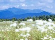 Japan is "is just as beautiful as it was before the earthquake" 