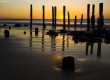 Jetty at Glen Elg beach, Adelaide (photo: Thinkstock)