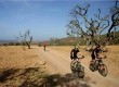 Laos, Central America, New Zealand and Slovenia have been added to Exodus' cycle 2007 holidays (photo: Exodus.co.uk)