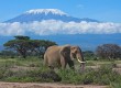 Mt. Kilimanjaro Machame route in pictures  