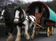 Quirky accommodation in the Lake District in a gypsy caravan 