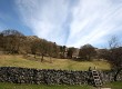 Rural locations like the Lake District are proving to be particularly popular this year 