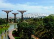 Singapore is going green with the Gardens in the Bay project 