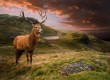 Snowdonia National Park