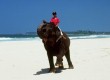 Sri Lankan beach holiday