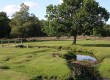 The cycle tours allow visitors to get closer to the New Forest 