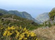 The Garden Island of Madeira is one of the destinations that are cheaper this year 