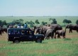 The Maasi Mara, Kenya, is a good place to see the 'big five'