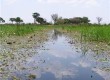 The Okavango Delta, Botswana