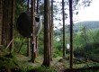 The Red Kite Tree Tent is situated near Builth Wells in Powys, Wales 