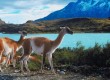 The Torres del Paine National Park in Chile