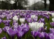 Tourists are big fans of the UK's parks and gardens in summer