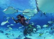 Under the sea: great diving travel deals 