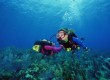 Visitors can try scuba diving in Vanuatu