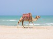 Visitors are returning to Tunisia's attractions