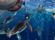 Paul Nicklen’s Bubble-jetting emperors was the winning image of the Veolia Environnement Wildlife Photography of the Year competition   