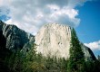 Yosemite National Park in California, has responded quickly to the outbreak 