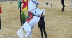 Andalucia is known for its horse breeds and equestrian styles 