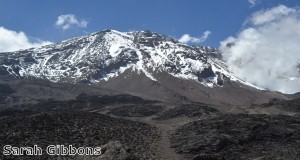 In 2012 I managed to reach the summit of Mt. Kilimanjaro 