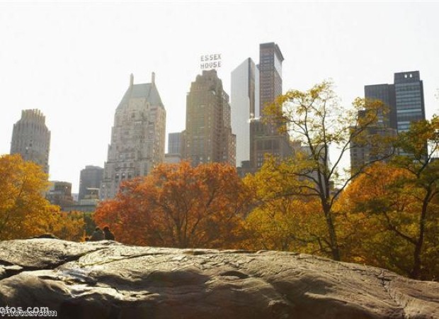 Central Park is a great place to relax in NYC