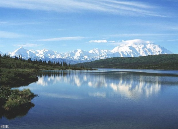 Experience an Alaska adventure holiday at the Denali National Park