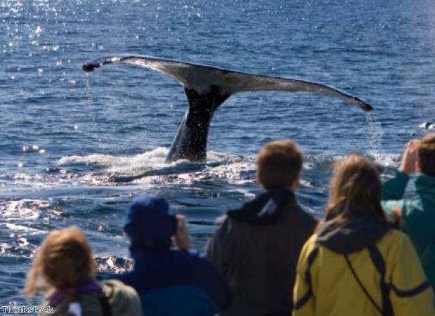 Get back to nature in New England 