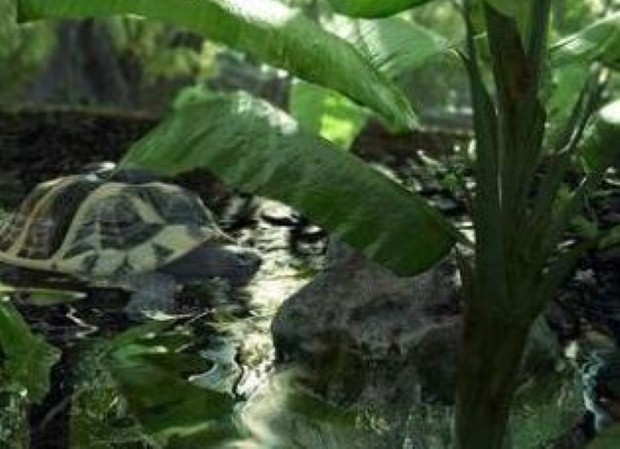 Go nature-spotting in Dalyan in Turkey