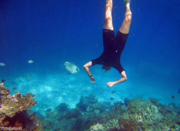 Head underwater in Cairns