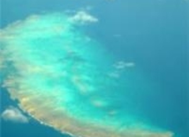 The Great Barrier Reef