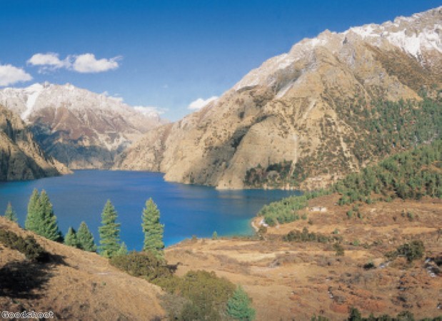 On the trail of the snow leopard in Dolpo