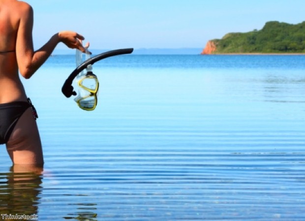 Snorkelling is a great activity in the BVI