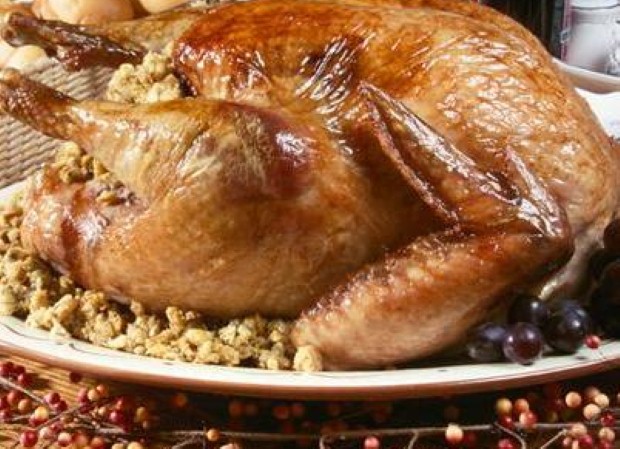 Thanksgiving turkey