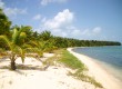 Caye Caulker: Belize's tropical hideaway 