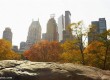 Central Park is a great place to relax in NYC