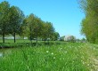 Cruise along the Canal du Nivernais in France