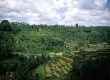 Discover Bali's wonderful regions