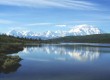 Experience an Alaska adventure holiday at the Denali National Park