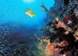 Explore underwater in Hurghada