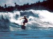Go surfing on a sailing break in Tonga