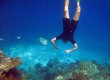 Head underwater in Cairns