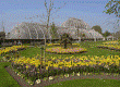 Kew Gardens: a popular London attraction