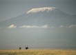 Kilimanjaro: a great charity challenge