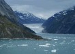 See Alaska's scenery from a boat tour