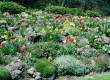 See amazing gardens in the Cote d'Azur