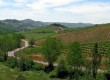 Take in Chianti's vinyards on a driving tour