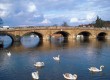 Thames boating holidays this summer offer chance to glam up for the Henley-on-Thames Royal Regatta