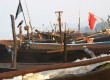 Traditional fishing boats are used in Baga