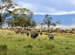 Visit the Ngorongoro Crater for a safari to remember 
