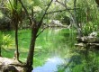 You can dive and snorkel in cenotes